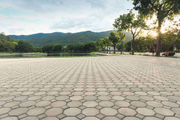 Best Custom Driveway Pavers  in Moon Lake, FL