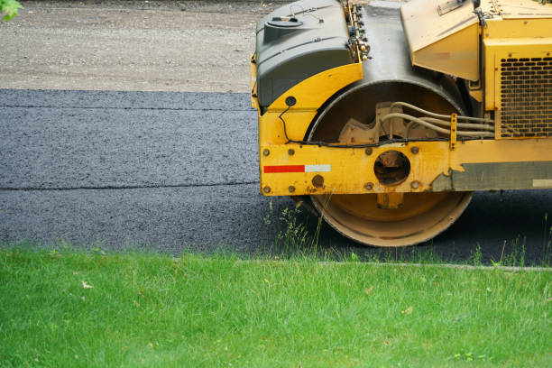 Best Decorative Driveway Pavers  in Moon Lake, FL